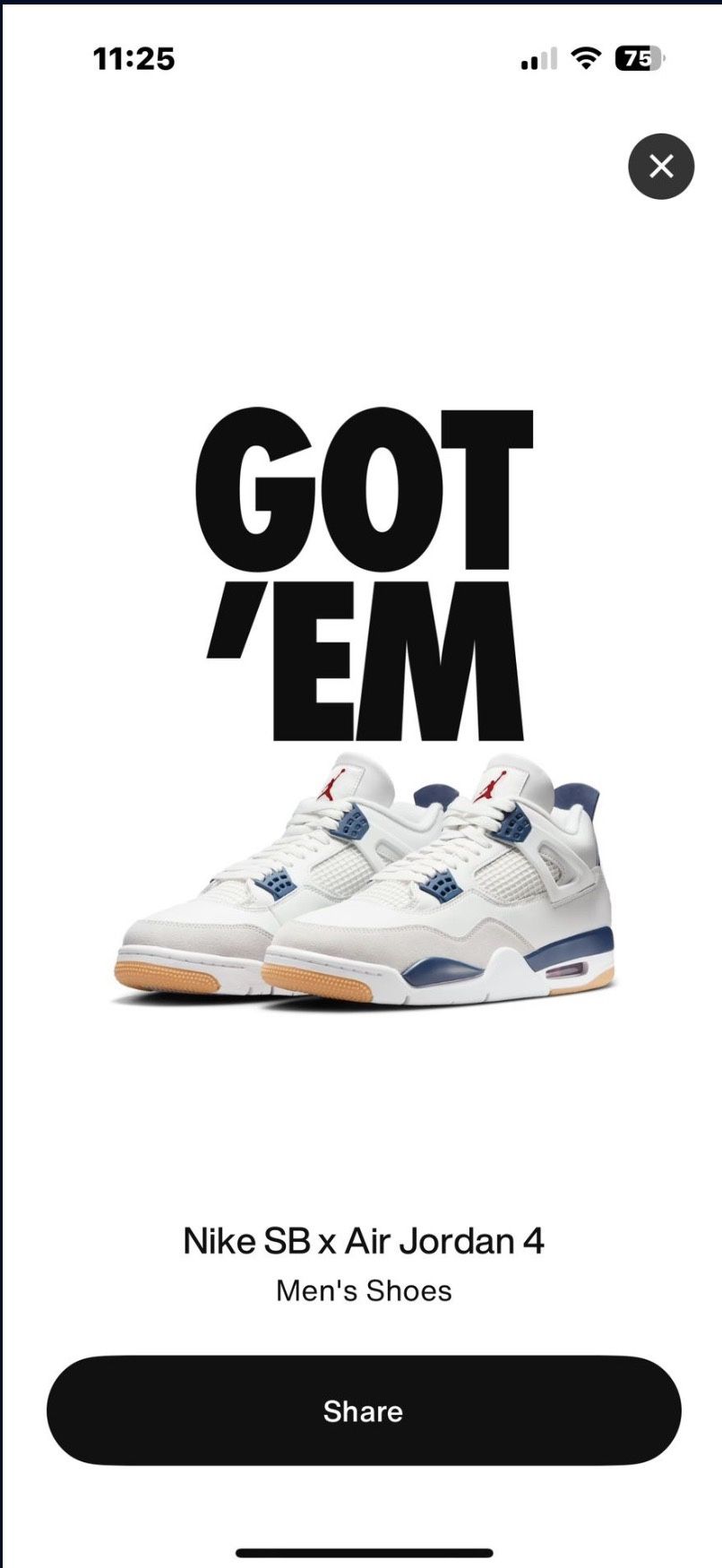 Brand New Jordan SB 4 Size 11.5