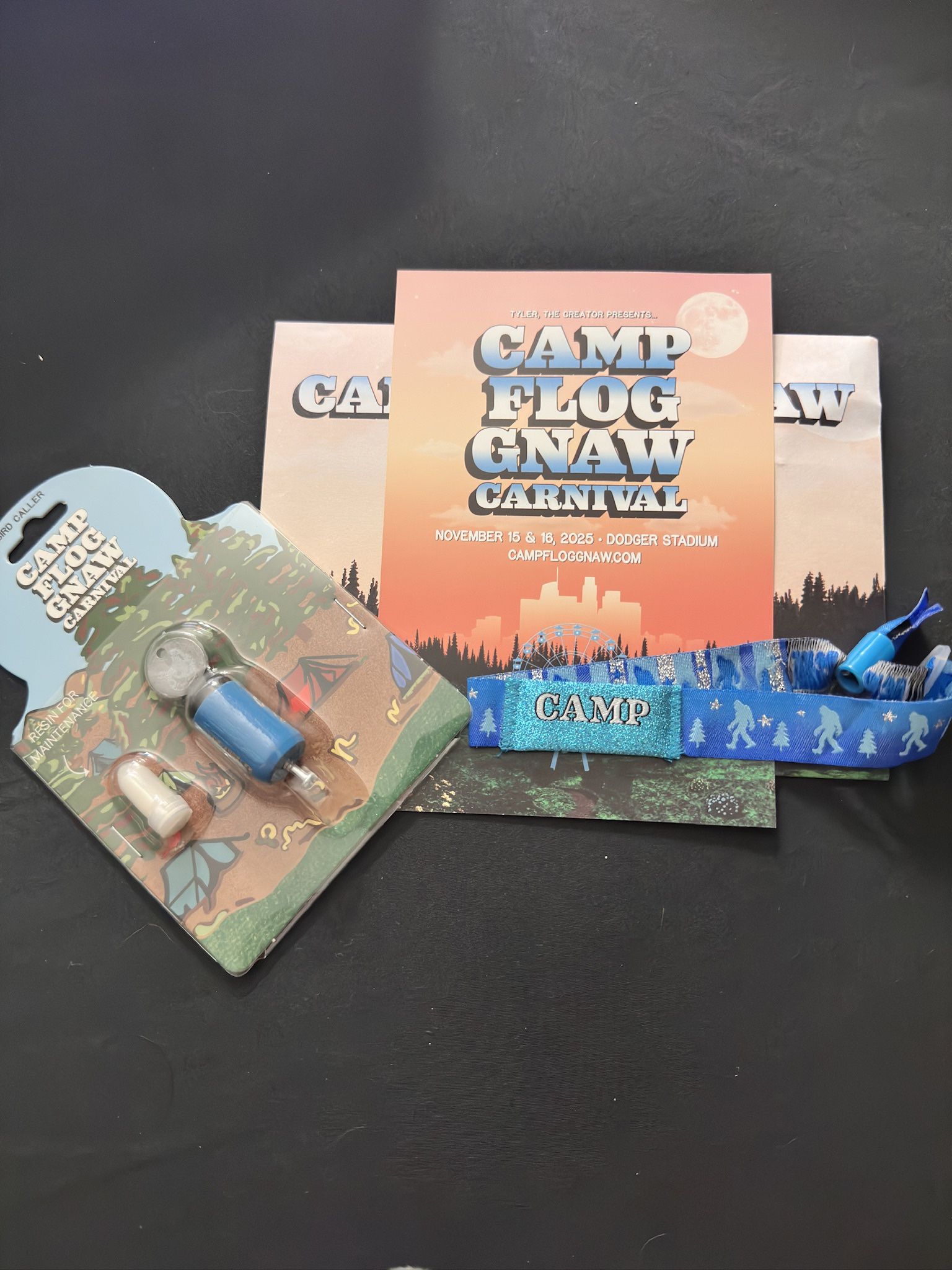 Camp Flog Gnaw 2025 GA Wristband Ticket Dodger Stadium