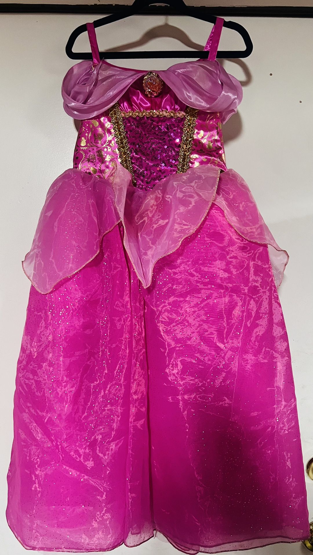 Disneyland Princess Aurora Dress