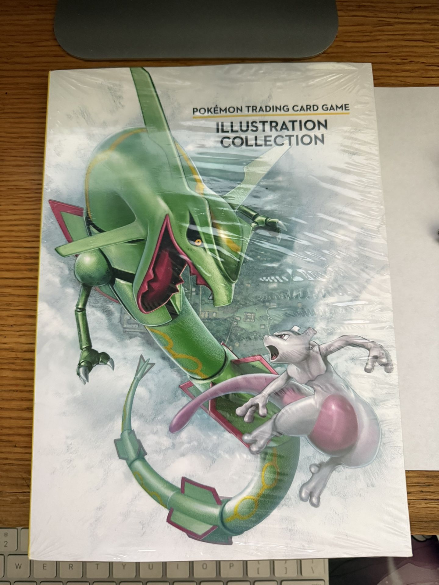 Pokemon Trading Card Game Illustration Collection