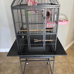 Bird Cage