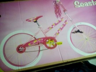 Little Girls Bike
