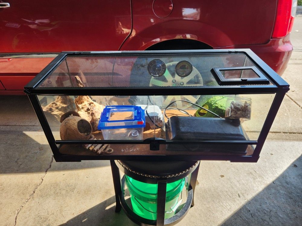 Reptile Tank