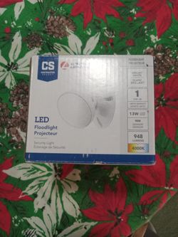 Led Floodlight