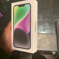 iPhone 14