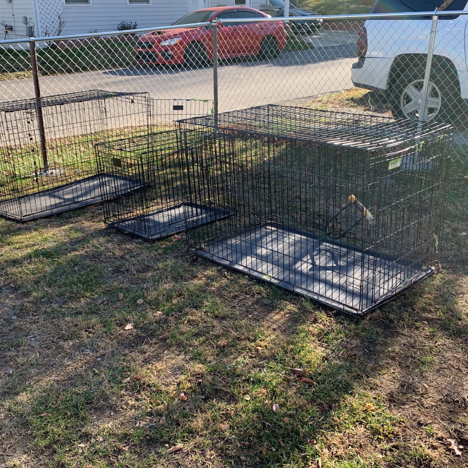 Almost Brand New Cages, Like New and ready for the furry babies! I Have a Big, Medium And Small Cage for $40 Each!