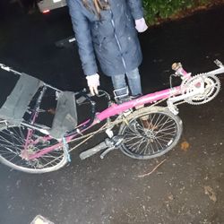 Recumbent Bicycle