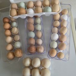 From Our Coop To Your Table
