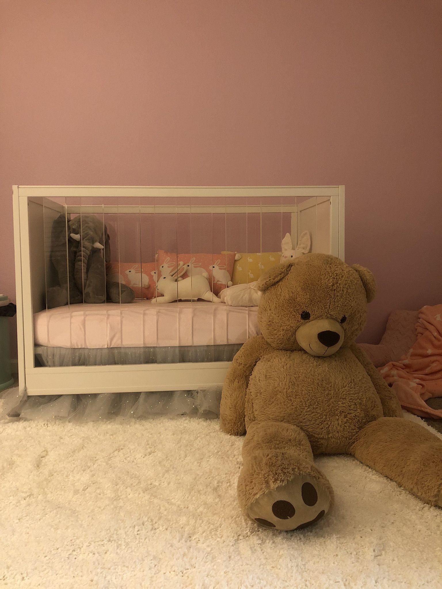 Pottery Barn kids - Acrylic Crib