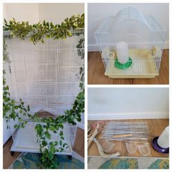 Bird Cages With Accessories 