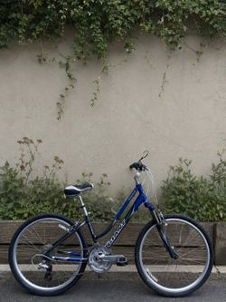 Giant Sedona DX Comfort Step-Thru Hybrid Bike – Small 14” Frame