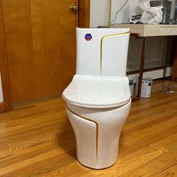 New Fancy Toilet