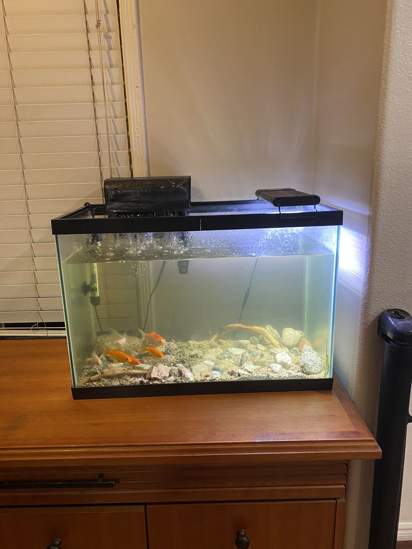 Empty Fish Tank $40