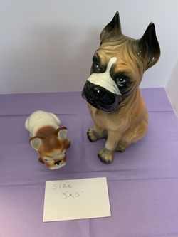 Best Buddies, old dogs.