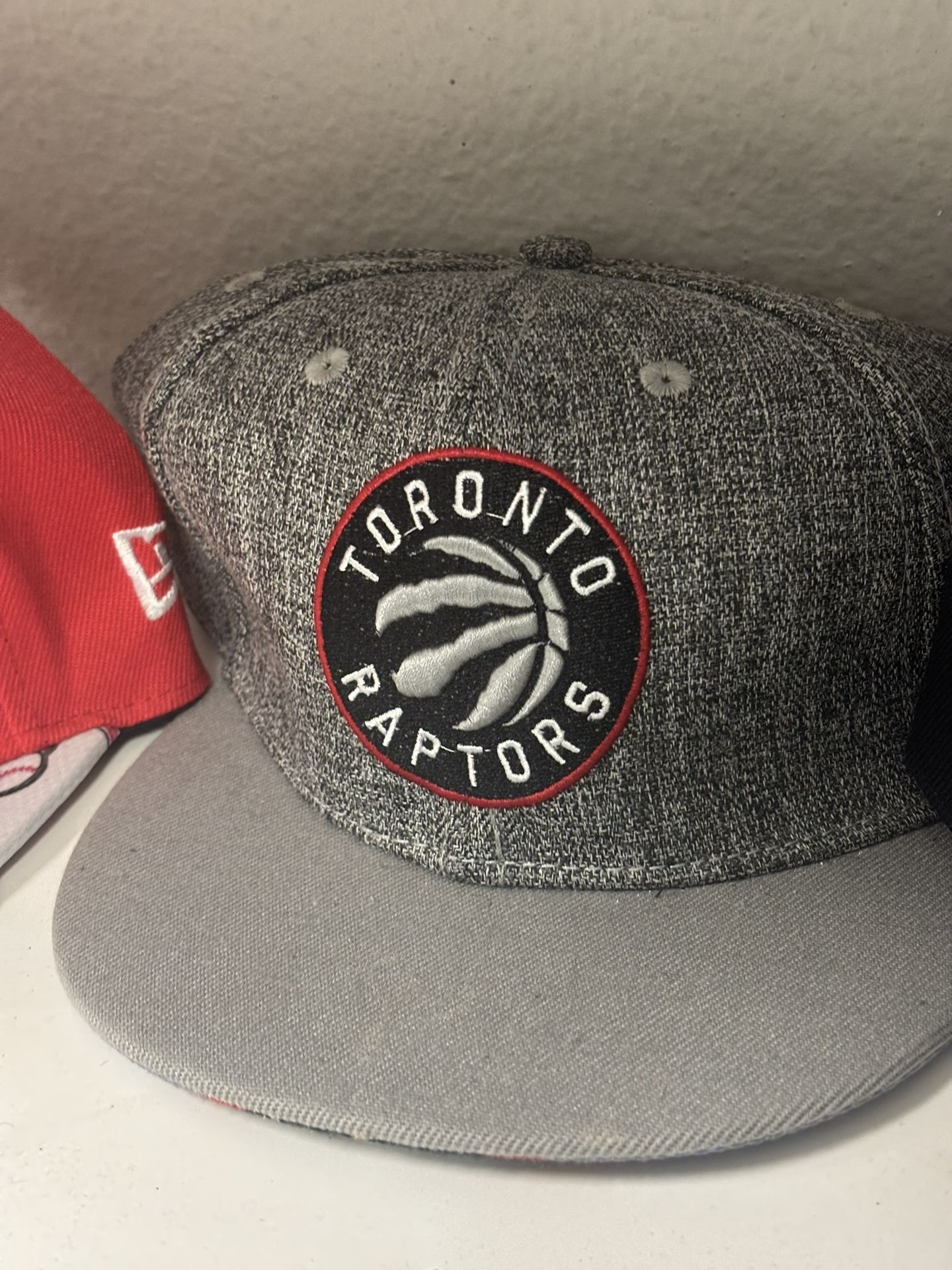 Toronto Raptors Snap Back 