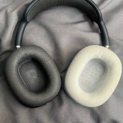 Apple Headphones 