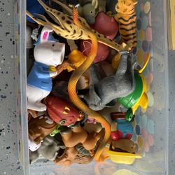 Animals