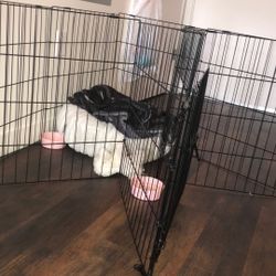 Large Dog Gate Doggy Bed And Two Pink Bowls 