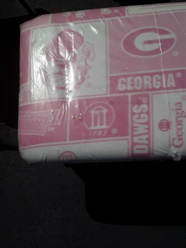 Georgia bulldog Glider