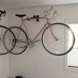 Pink Schwinn Road Bike