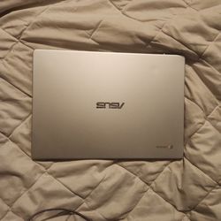ASUS C423NA Laptop/Chromebook.