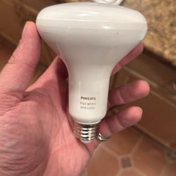 Phillips hue Flood Lights x7