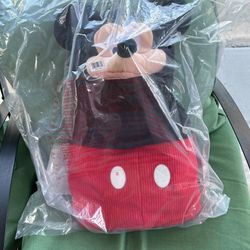 Mickey Mouse Custom