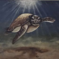 Sea Turtle