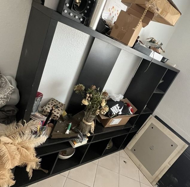 Black Entertainment Center or Shelving