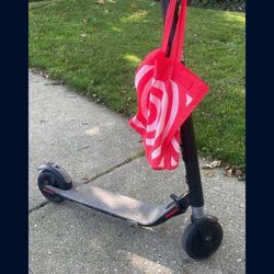 Nine Bot Segway Electric Scooter 