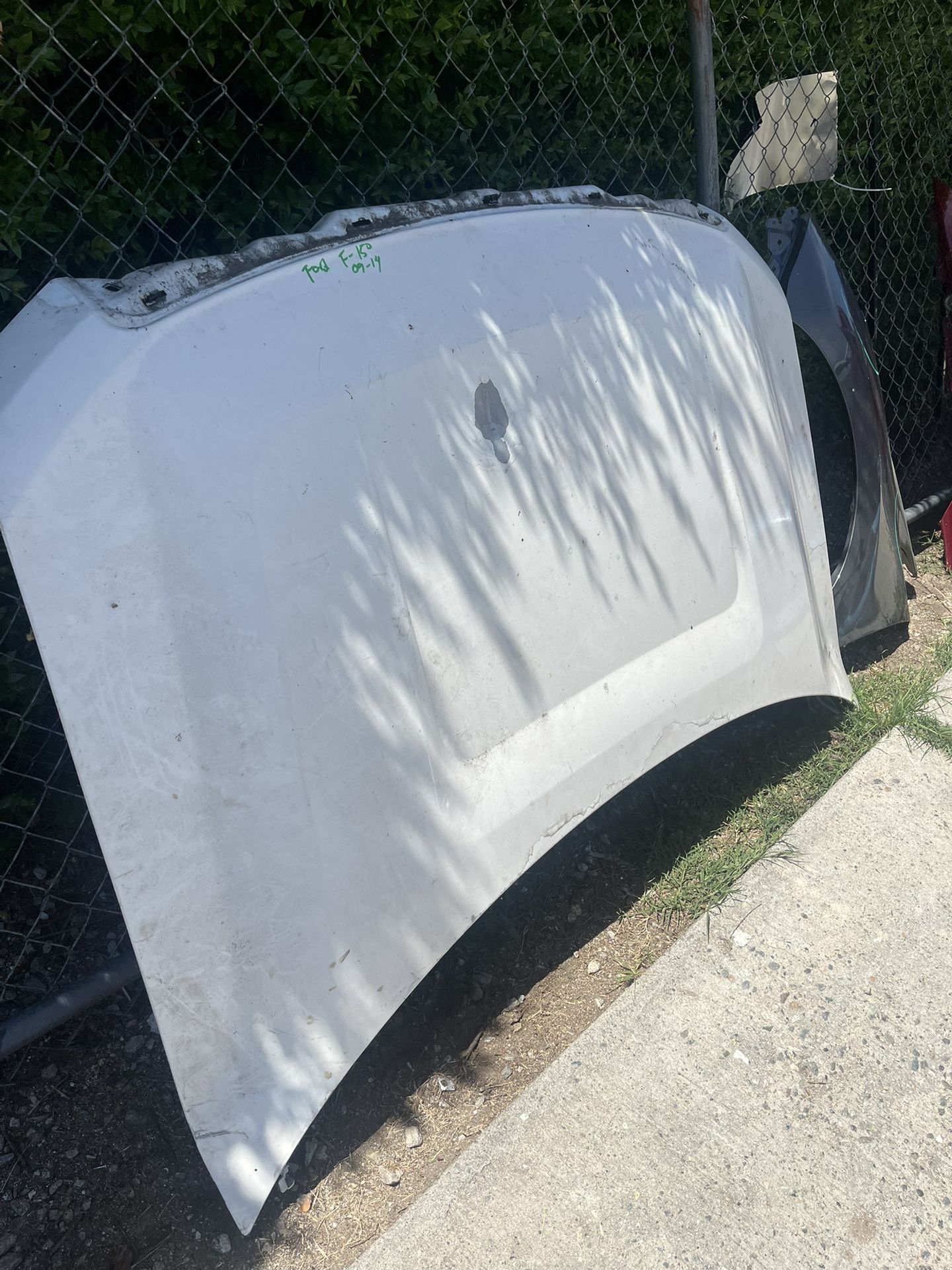 Ford F-150 Pickup 2009-2014 Hood