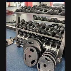 Weights, Dumbbells, Bumper Plates, Benches And Racks