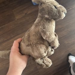 Wild republic kangaroo