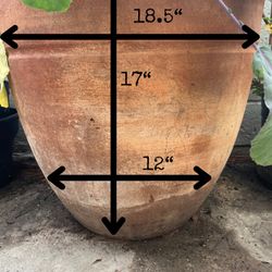 Large Planter Pot