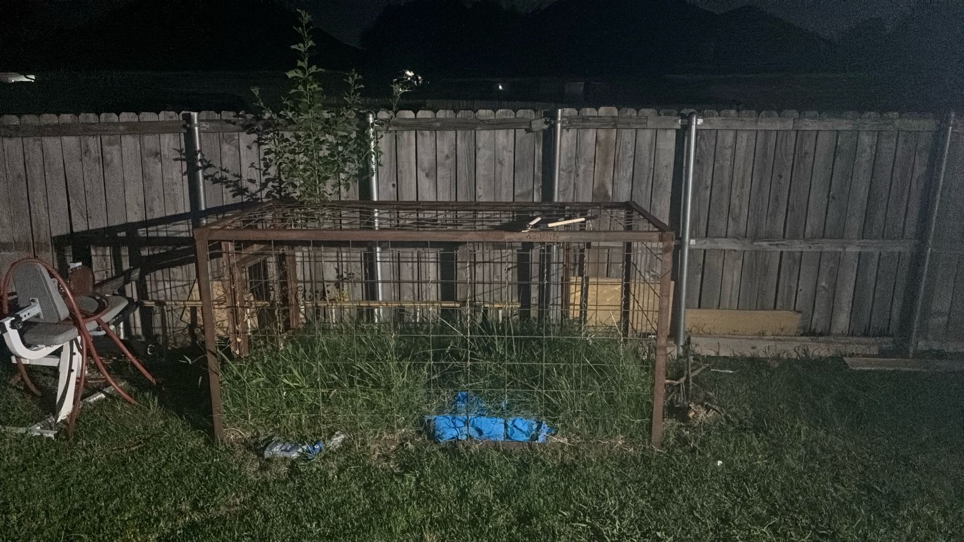 Hog Trap