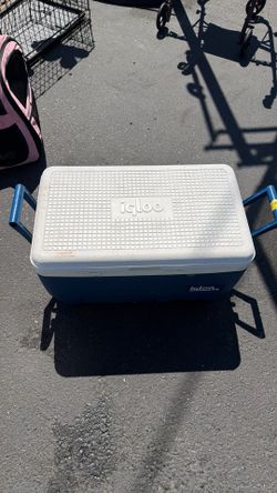 Igloo cooler
