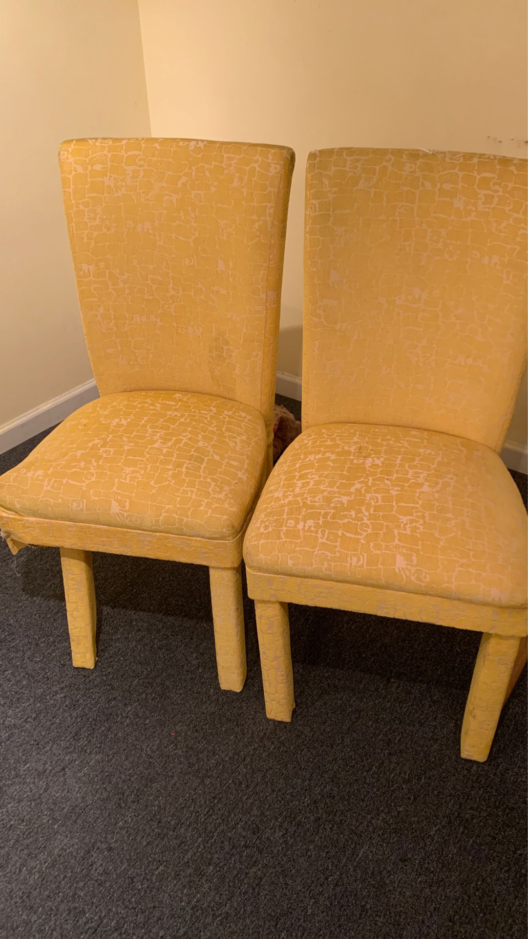 Yellow dining chairs