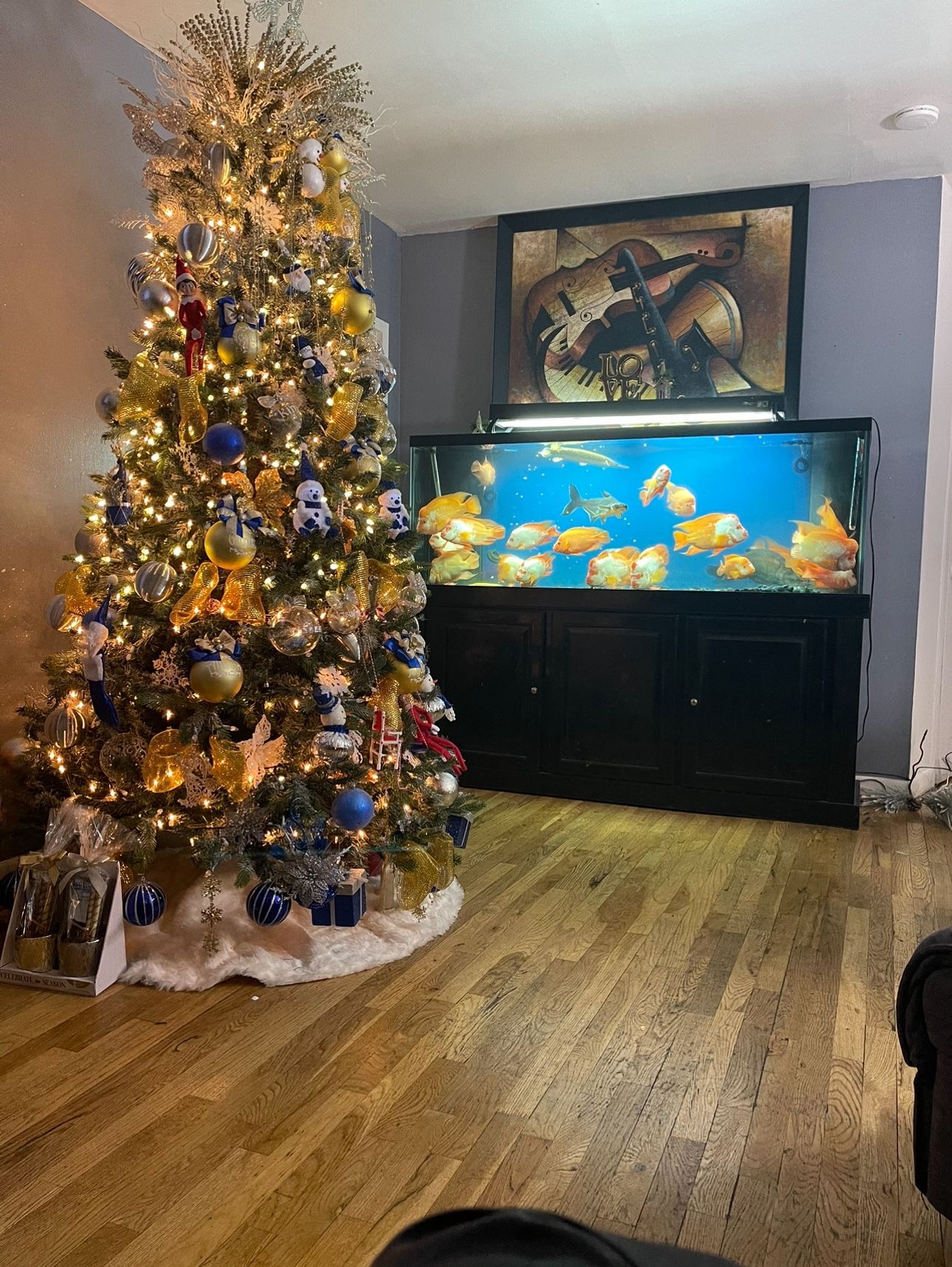 125 Gallon Fish Tank