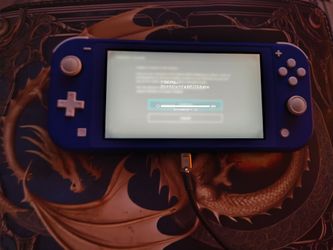 Nintendo switch lite