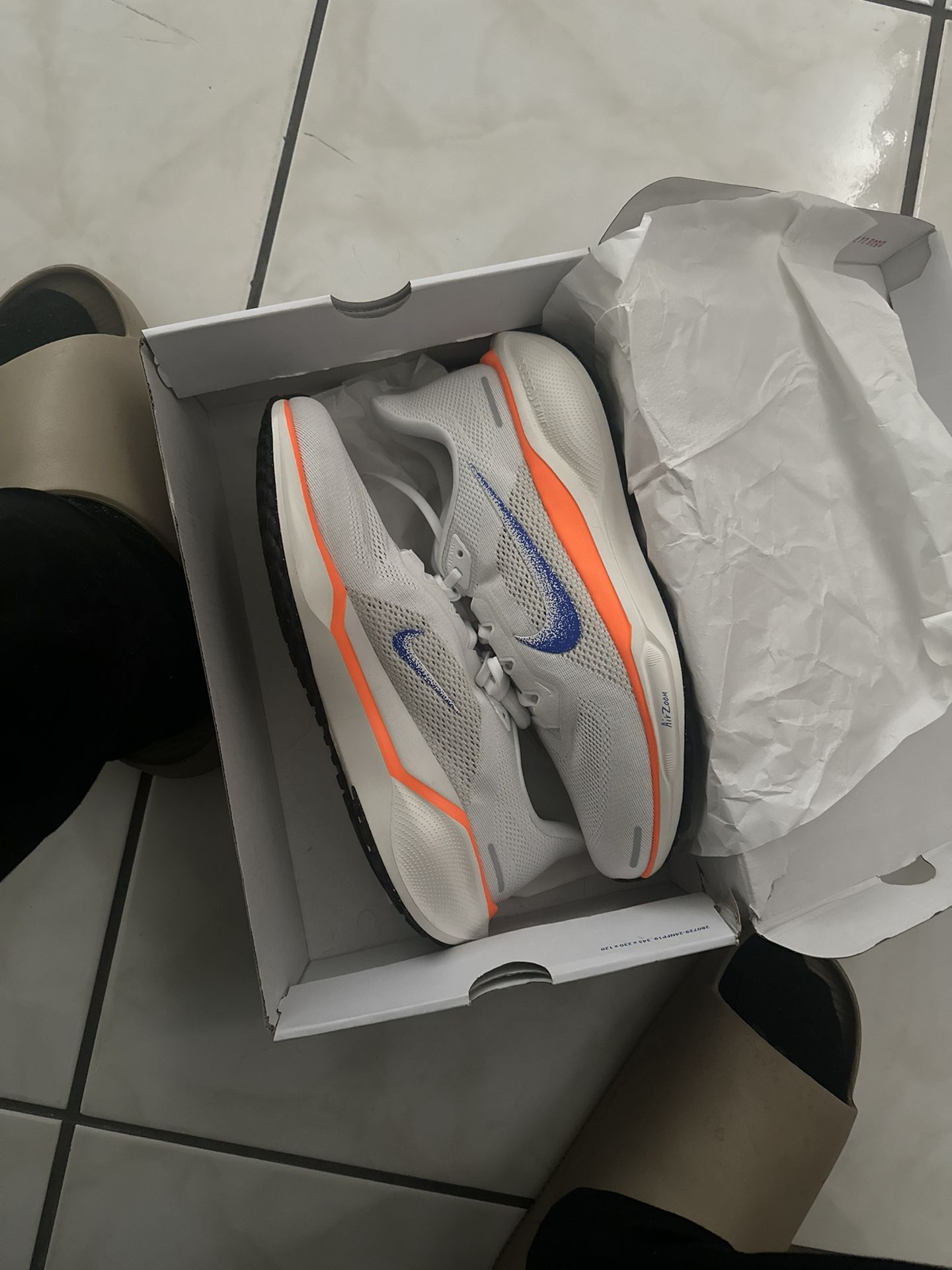 Nike Pegasus 41