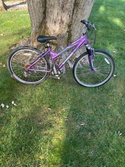 26” Schwinn mountain bike