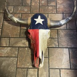 Painted Texas Bull Skull