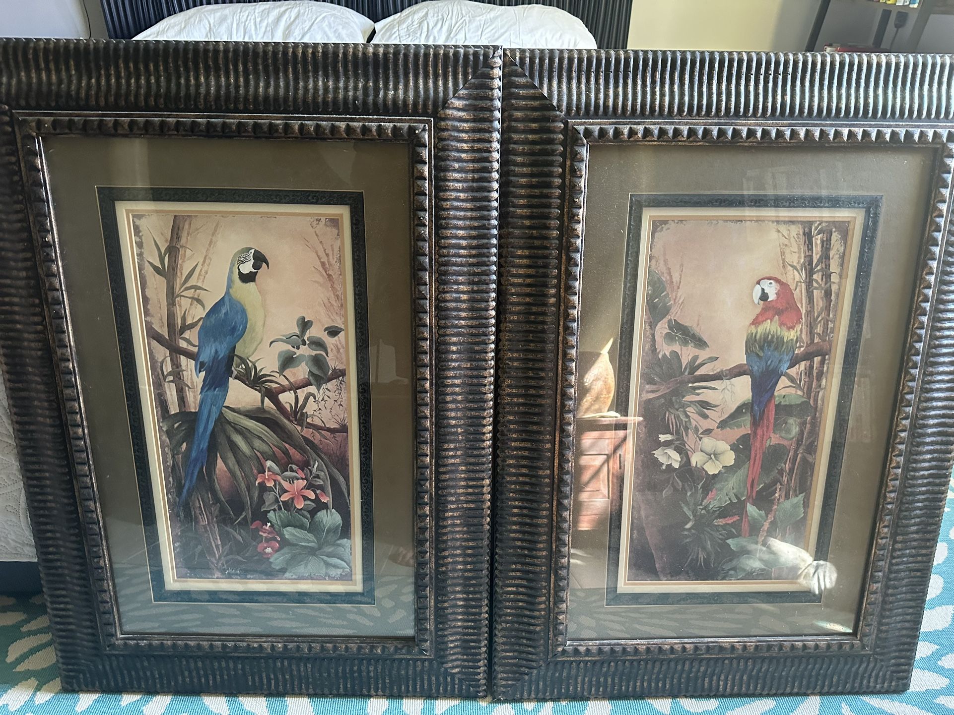 Used Pair of Large Framed Tropical Parrot Art Prints – Vibrant Statement Pieces!