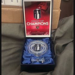 Florida Panthers Stanley Cup Finals Official Game Used Ice Stanley Cup 