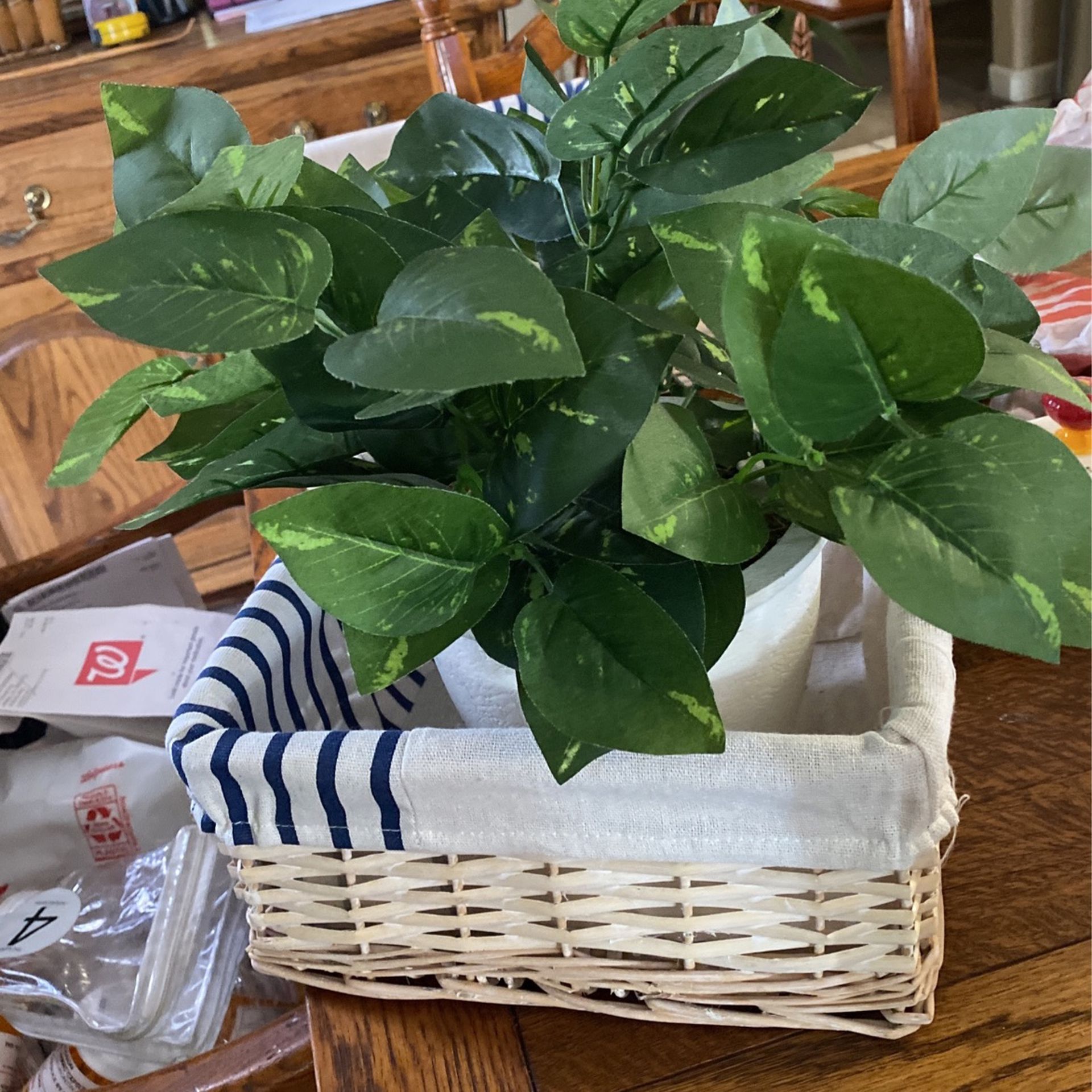 Basket And Plant