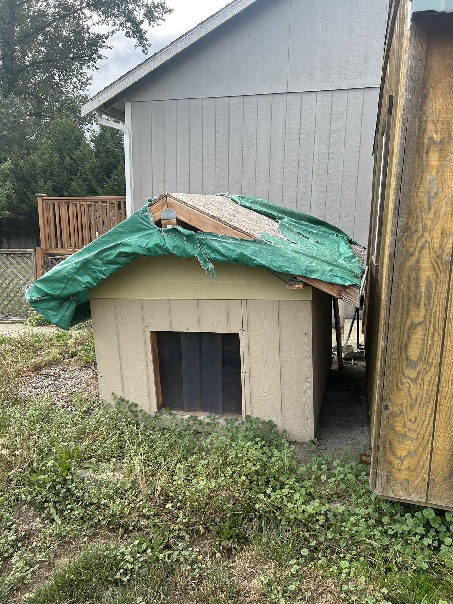 Dog House
