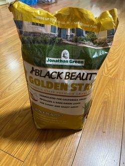 Grass seed black beauty