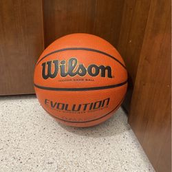 Wilson Indoor Game Ball Evolution 