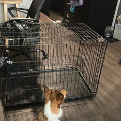 Dog Kennel / Dog Crate