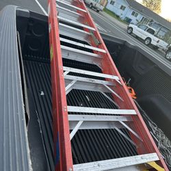 8 Foot Later 
